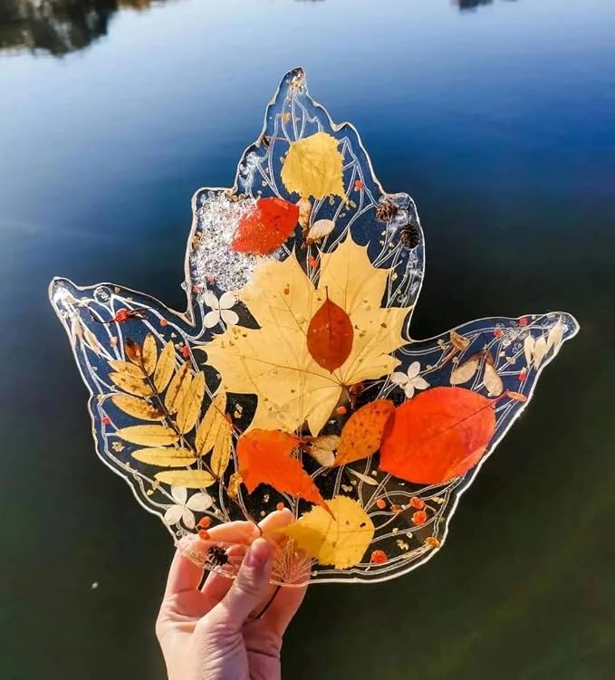 301Pcs Multi-Style Dried Pressed Flowers & Leaves - Image 2