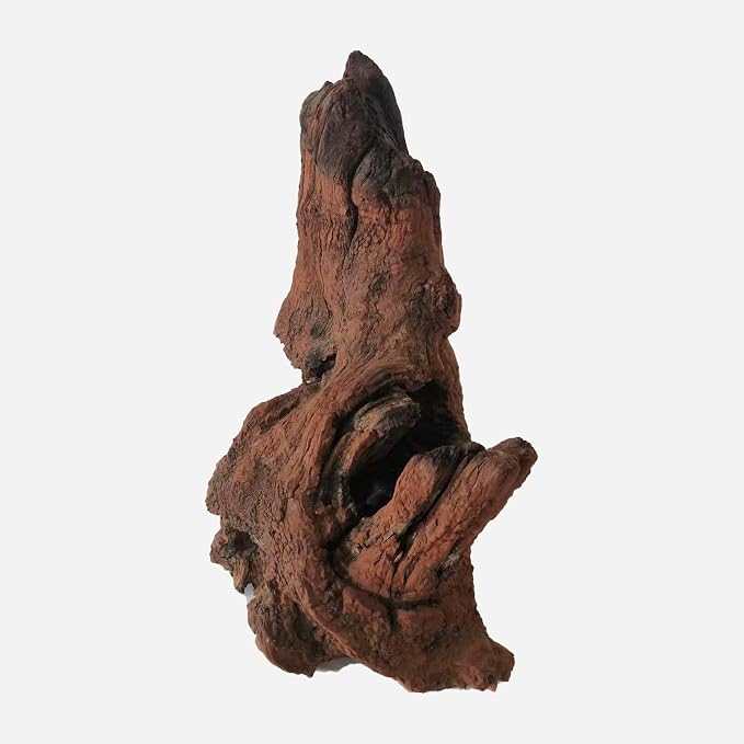 LYPHARD AQUARIUMS Natural Driftwood - Image 3