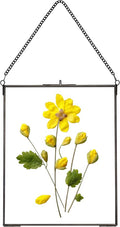 REDHUGO Hanging Pressed Flower Frames, Double Glass Floating Picture Frame by REDHUGO