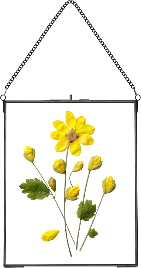 REDHUGO Hanging Pressed Flower Frames, Double Glass Floating Picture Frame by REDHUGO