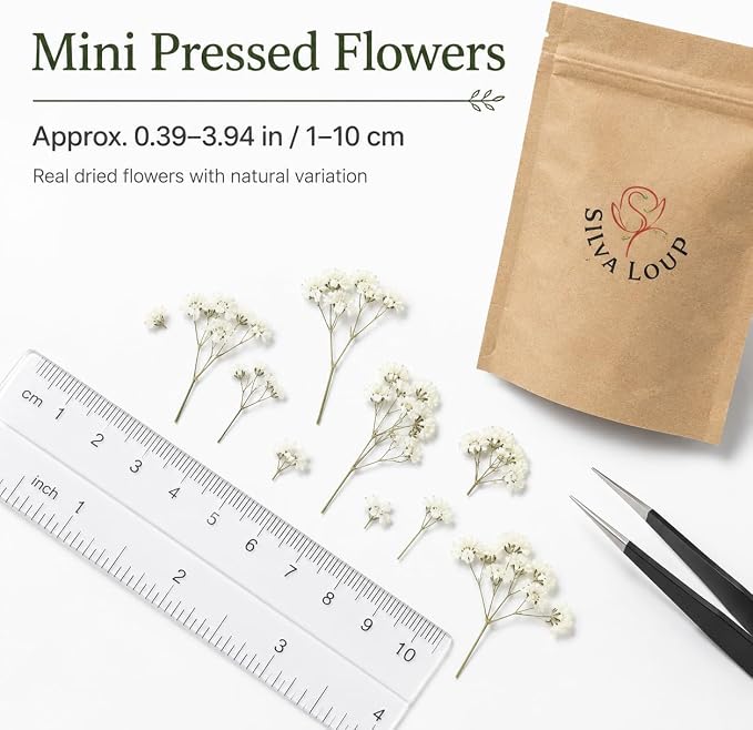 100Pcs Mini Dried Pressed White Baby's Breath Flowers Bulk - Image 9