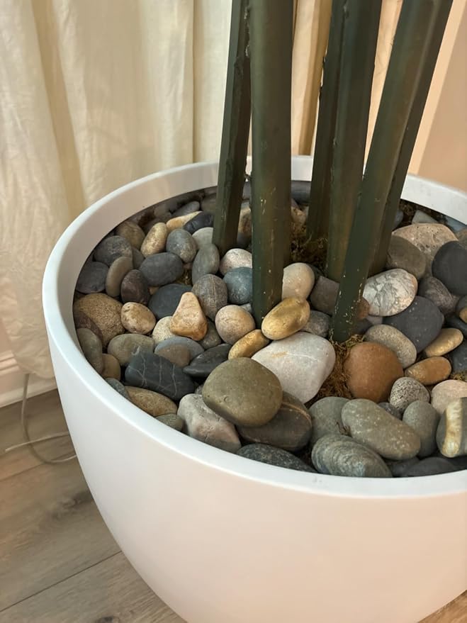 FANTIAN 5 lbs Pebbles for Plants, 1-2 Inch Decorative River Rocks for Plants - Image 9