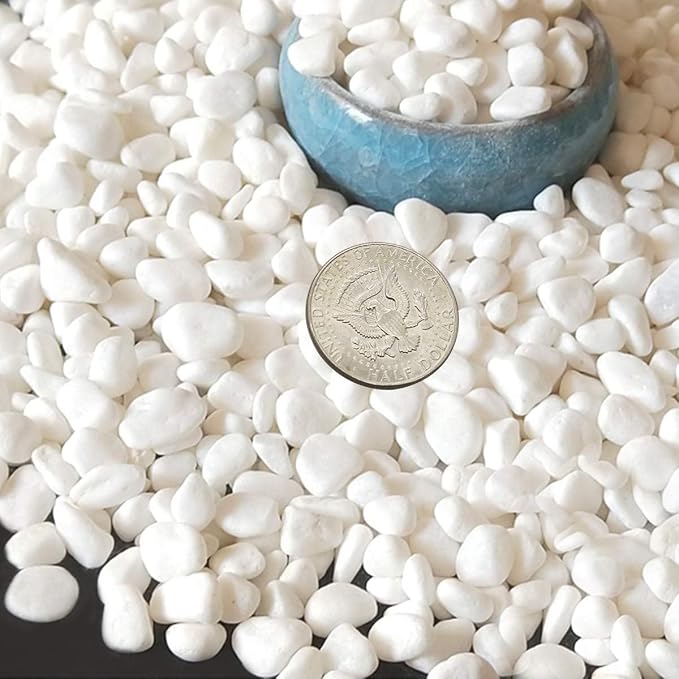 TOYPOPOR Mini White Rocks Stone Decorative Pebbles Vase Fillers Succulents by TOYPOPOR
