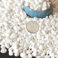 TOYPOPOR Mini White Rocks Stone Decorative Pebbles Vase Fillers Succulents by TOYPOPOR