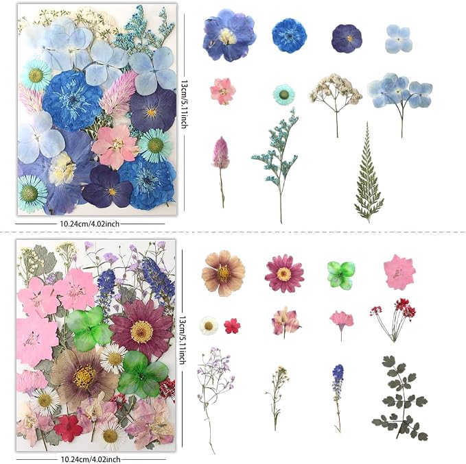 80Pcs Dried Pressed Flowers, Natural Pressed Flowers - Image 3