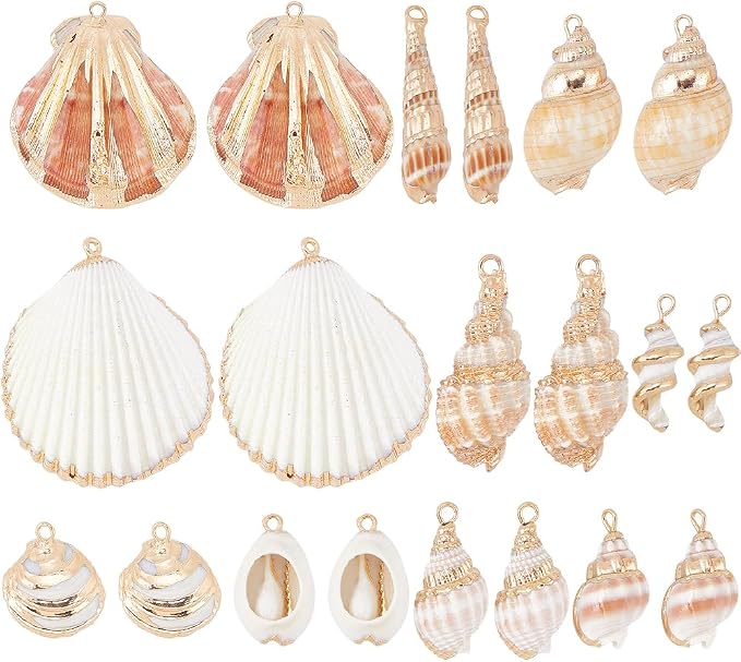 SUNNYCLUE 1 Box 20Pcs 10 Styles Sea Shell Charms Bulk Seashell Charms Natural by SUNNYCLUE