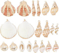 SUNNYCLUE 1 Box 20Pcs 10 Styles Sea Shell Charms Bulk Seashell Charms Natural by SUNNYCLUE