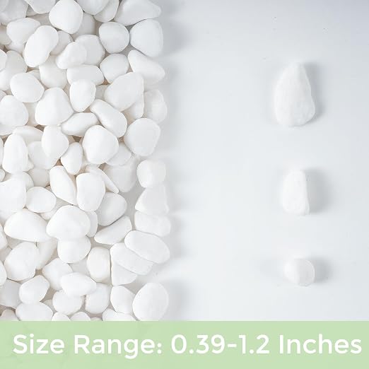 SIDONG 10 LB White River Rocks, 0.4-1.2 Inches Matte Pebbles - Image 9