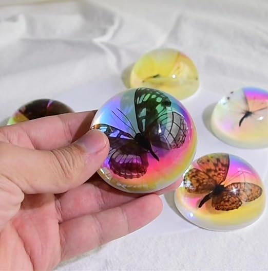Real Butterfly Specimens, Resin Insect Specimens, Educational Bugs Specimen Set - Image 4