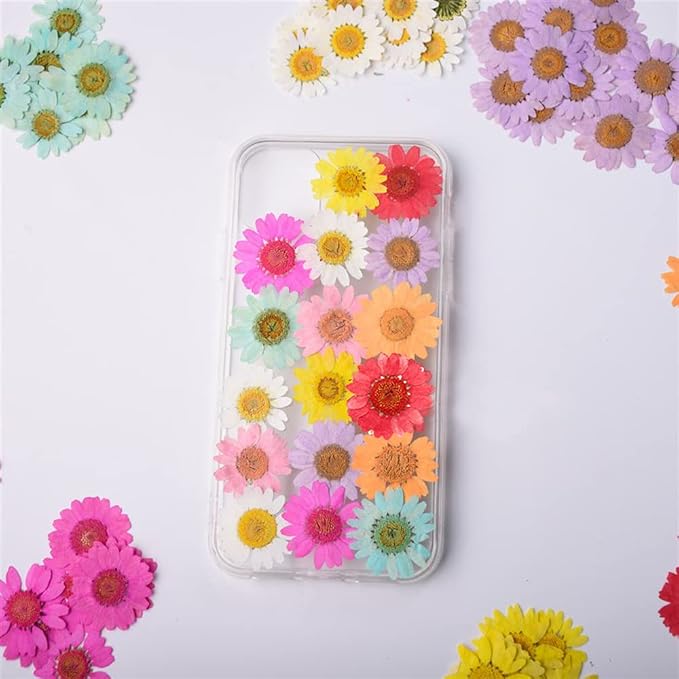50pcs Natural Dried Daisy Flower, Vacuum Packaging, Pressed Flower - Image 4