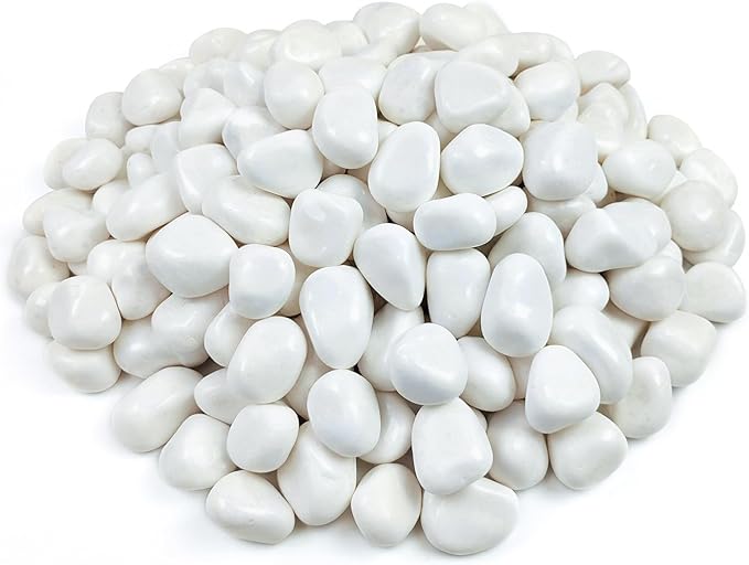 FANTIAN 10 lbs White Rocks for Landscaping, 1-2 Inch Small Pebbles for Indoor by FANTIAN-GardeningMakesLifeBetter
