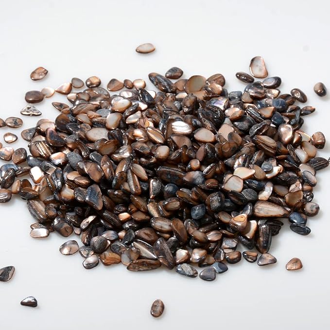 QICQDRAM Crushed Shells for Crafts About 1LB Small Natural Crushed Shells Bulk - Image 2