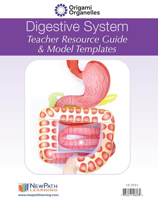 NewPath Digestive System 3-D Paper Model Making Kit - Image 2