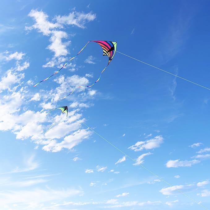 Mint's Colorful Life Delta Kite - Image 6