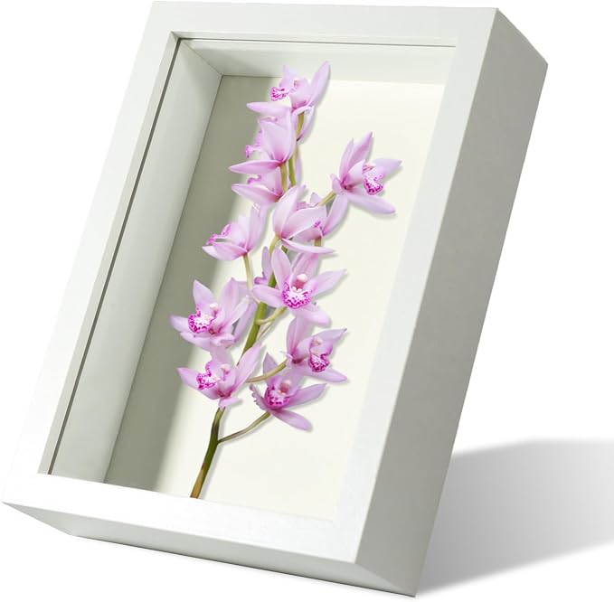 4x6 Small Shadow Box Frame Display Case by Unknown