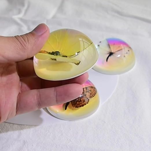 Real Butterfly Specimens, Resin Insect Specimens, Educational Bugs Specimen Set - Image 5