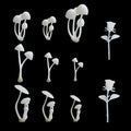 Woohome 11 PCS Jewelry Making Supplies Resin Mould, Mini Mushroom Casting Moulds by Woohome