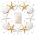 JSPYFITS 2.5-4 Inches Large Starfish and Scallop Shells by JSPYFITS