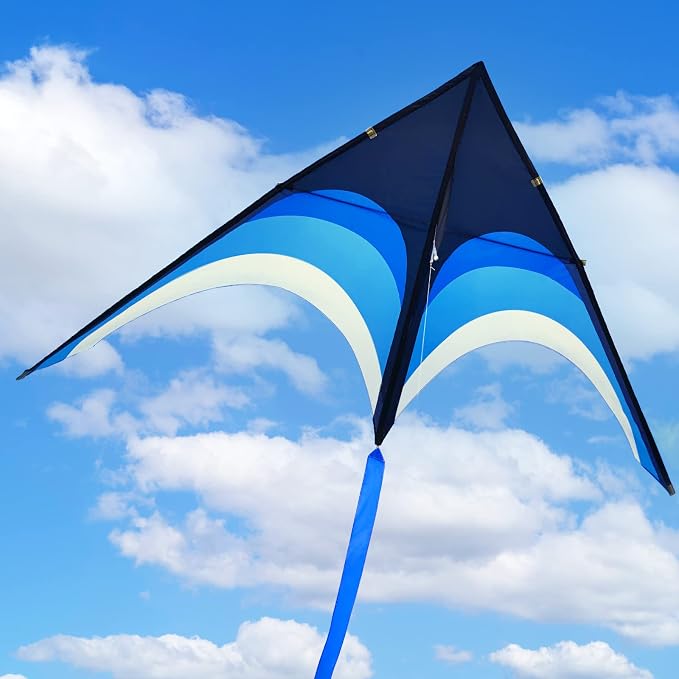 Large Single Line Beach Kite for Adults - Image 3