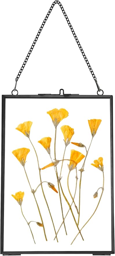REDHUGO Hanging Pressed Flower Frames, Double Glass Floating Picture Frame by REDHUGO