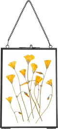 REDHUGO Hanging Pressed Flower Frames, Double Glass Floating Picture Frame by REDHUGO