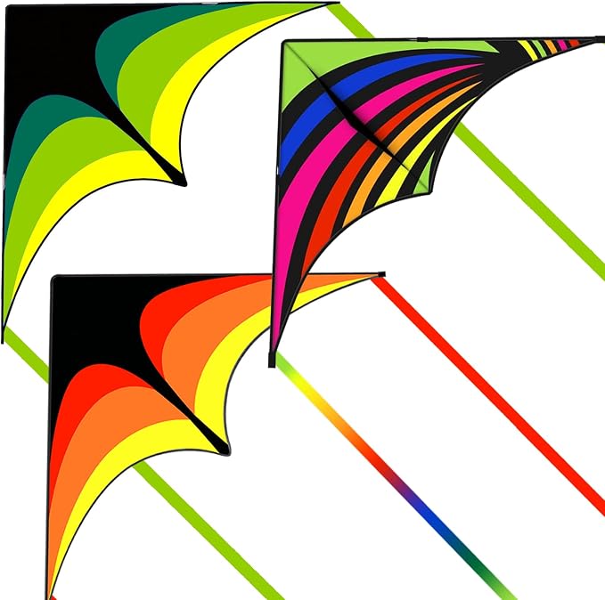Large Single Line Beach Kite for Adults by Kaiciuss