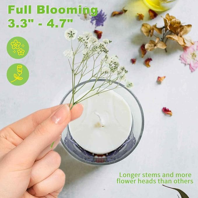 90Pcs Mini Dried Pressed Baby's Breath Flowers Bulk - Image 8