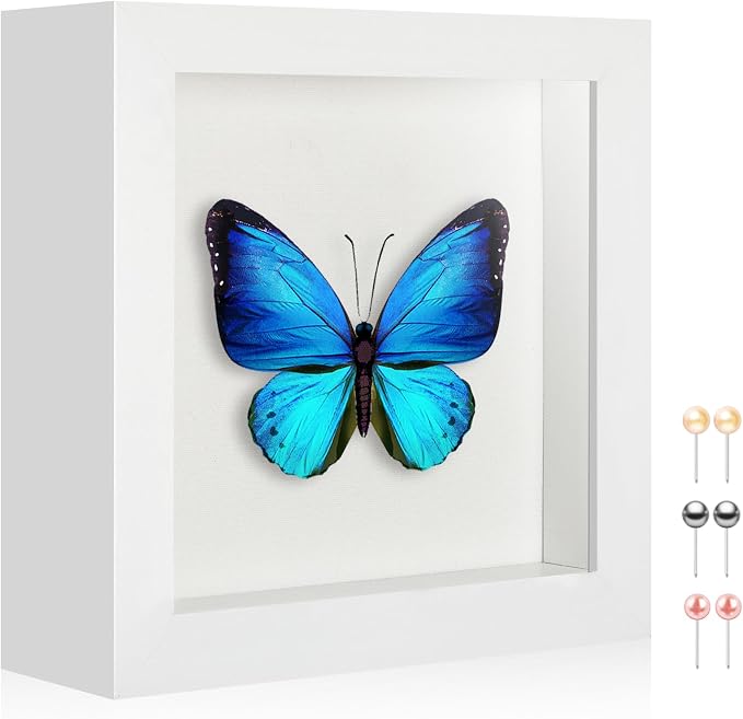 5x5 Small Shadow Box Picture Frame by MUXIUNT