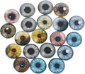 20Pcs Glass for Doll Eyes Animal Crafts Eyeballs for Dinosaur Eye Accessorie by Unknown