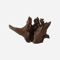 LYPHARD AQUARIUMS Natural Driftwood by LYPHARDAQUARIUMS