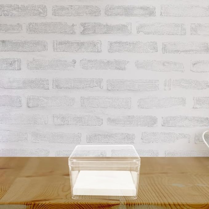 Transparent Insect Specimen Box 3.54X3.54X2.16In Mini Display Case Clear Cube - Image 4