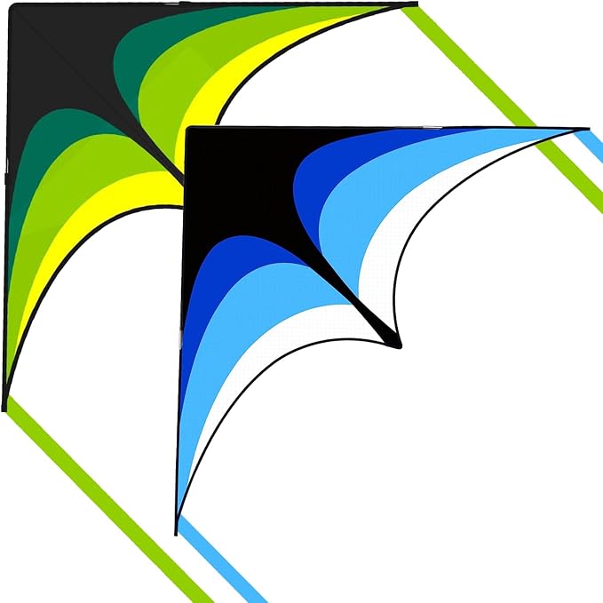 Large Single Line Beach Kite for Adults by Kaiciuss