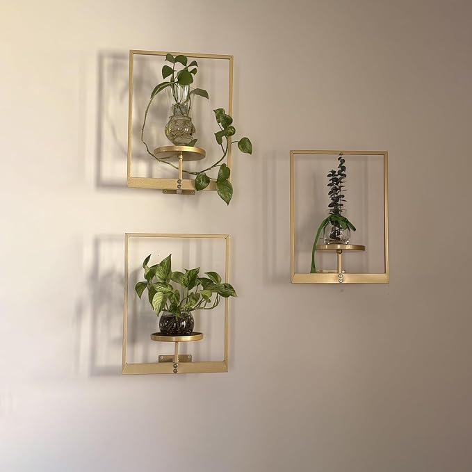 Picture Frame Wall Planters Set of 3, Modern Metal Hanging Shelves - Image 5