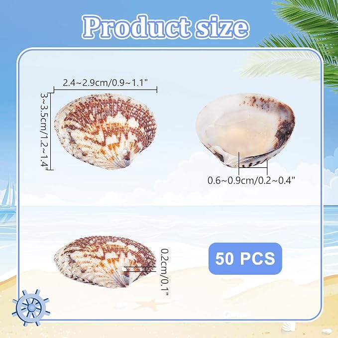 PH PandaHall 40~50pcs Tiny Scallop Sea Shells 24~29mm Ocean Beach Clam Craft - Image 2