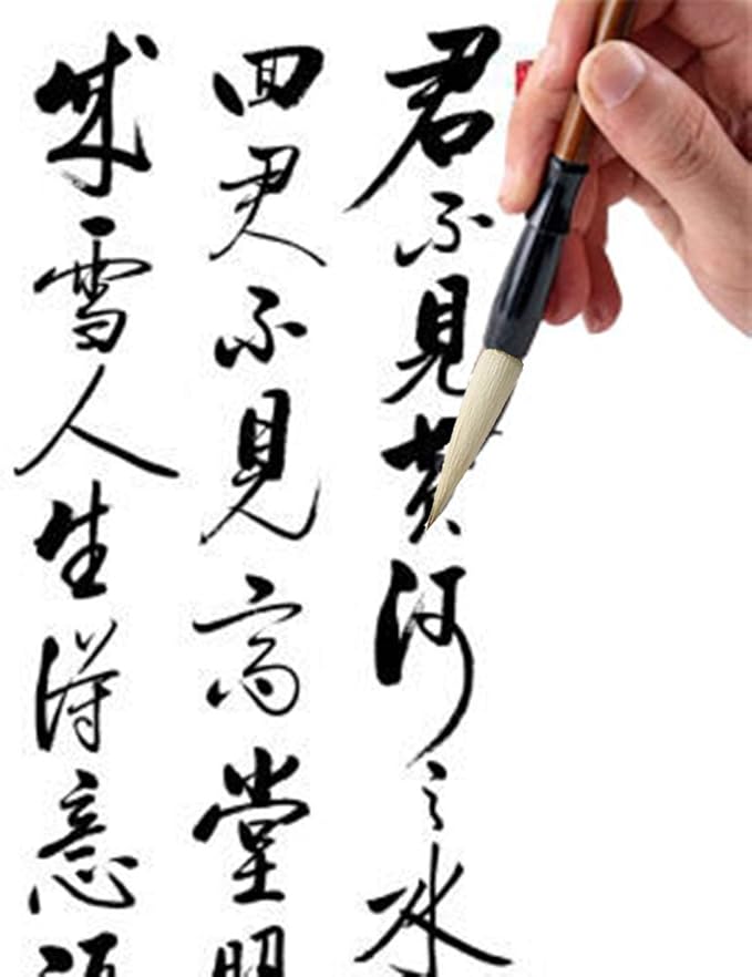 Befiy Chinese Calligraphy Brush, Writing Drawing Watercolor Ink Brushes Hubi - Image 6