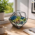 Creations by Nathalie DIY Geometric Glass Terrarium Kit by CreationsbyNathalie