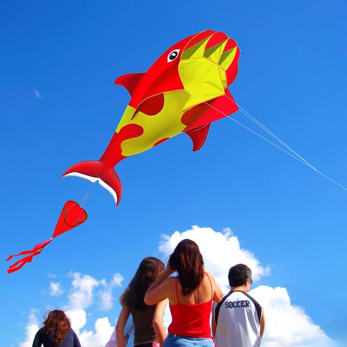 HENGDA KITE 3D Kite for Kids and Adults, Excellent Fabric and Structure - Image 2