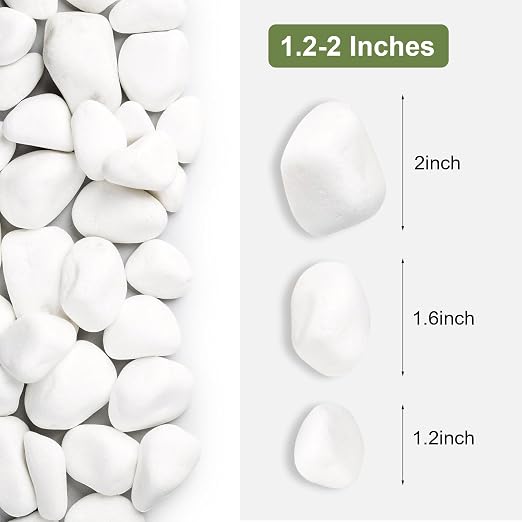 SIDONG 10 lbs White River Rocks, 1.2-2 Inches Matte Pebbles - Image 2