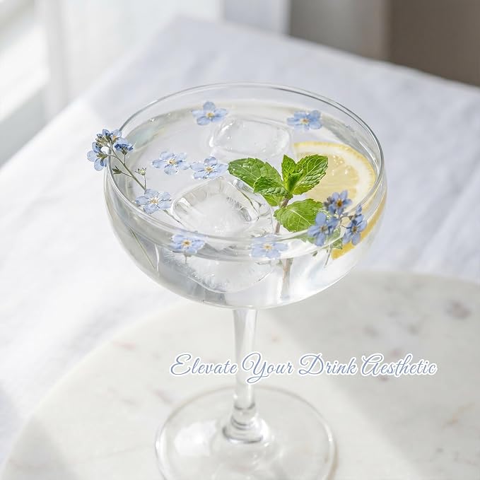 48 Pcs Natural Dried Pressed Forget-me-not Flowers - Image 4