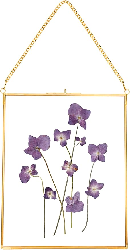 REDHUGO Hanging Pressed Flower Frames, Double Glass Floating Picture Frame by REDHUGO