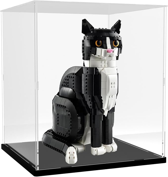 DuvinDD Acrylic Display Case Box - Image 2