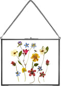REDHUGO Hanging Pressed Flower Frame Handmade, Double Glass Picture Frame by REDHUGO