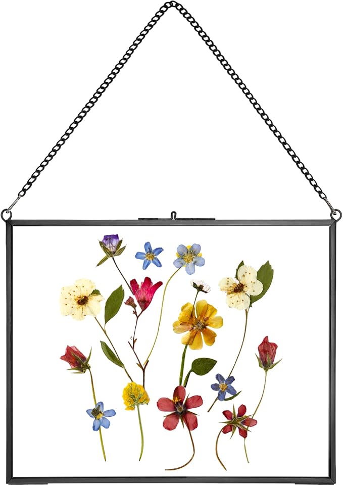 REDHUGO Hanging Pressed Flower Frame Handmade, Double Glass Picture Frame by REDHUGO