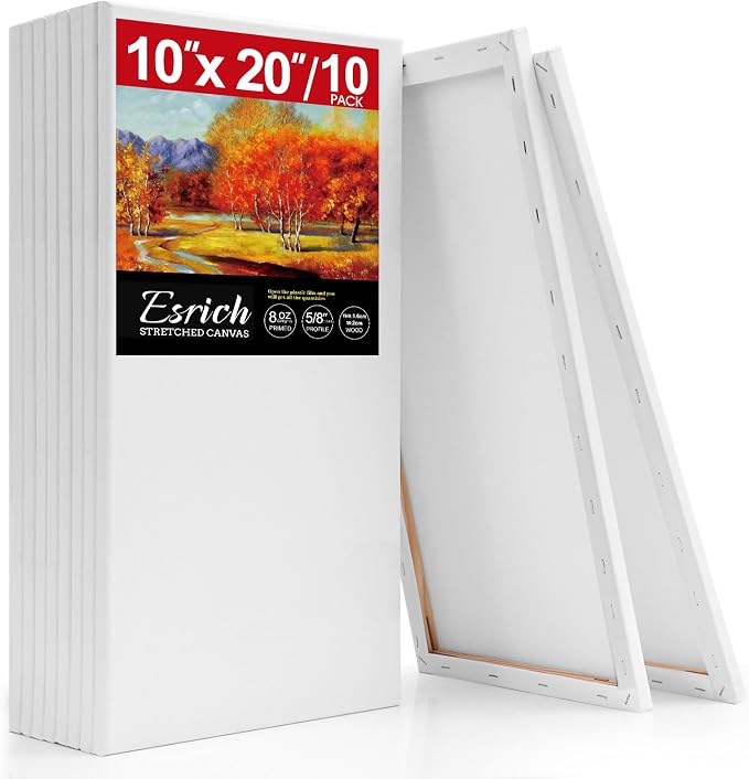 ESRICH Long Canvas for Painting 10x20 Inch, Primed Acid-Free Cotton Rectangular by ESRICH