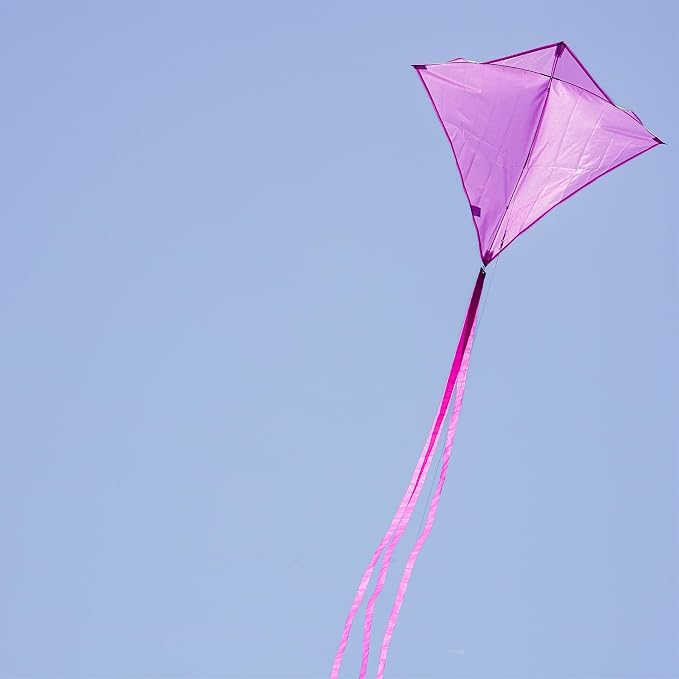 In the Breeze 3295 - Image 7