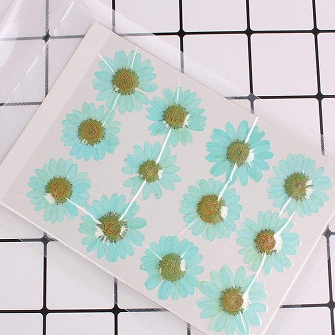 50pcs Natural Dried Daisy Flower, Vacuum Packaging, Pressed Flower - Image 2