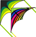 Large Single Line Beach Kite for Adults by Kaiciuss