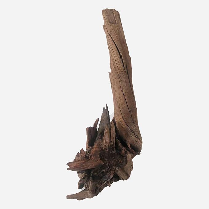 LYPHARD AQUARIUMS Natural Driftwood - Image 3