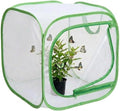 Insect & Butterfly Habitat Cage, Portable Pop-Up Terrarium by Unknown