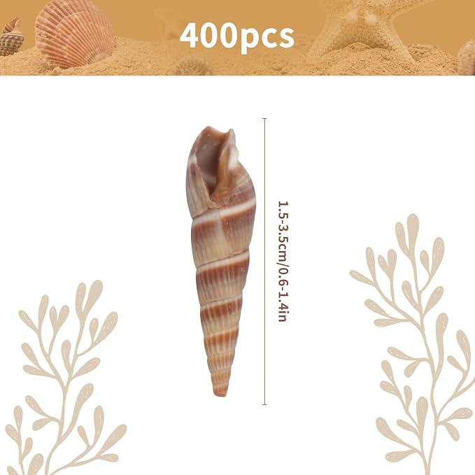 400 PCS Mini Sea Shells Natural Small Seashells, 0.6"-1.4" Tiny Sea Shells - Image 2